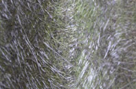 Boughton Malherbe fibreglass roof work